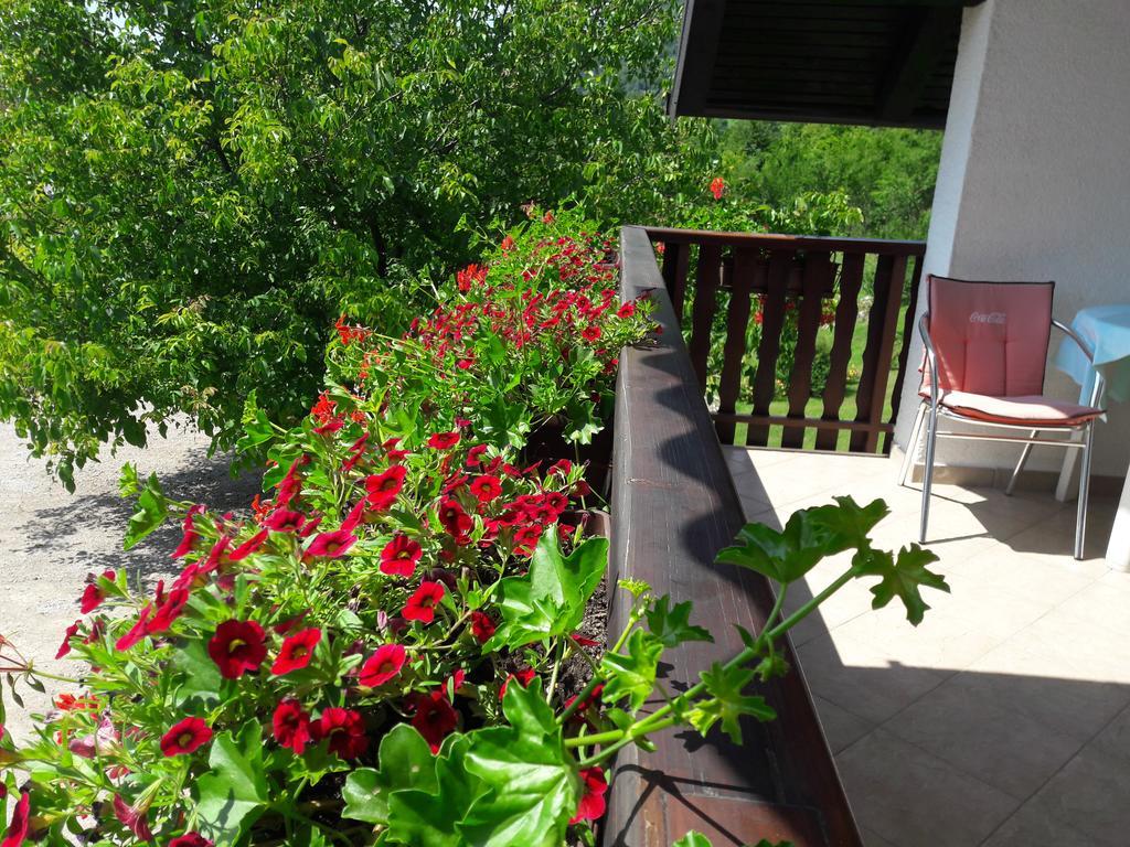 House Anamarija Otel Seliste Dreznicko Dış mekan fotoğraf