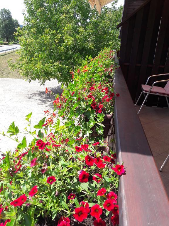 House Anamarija Otel Seliste Dreznicko Dış mekan fotoğraf