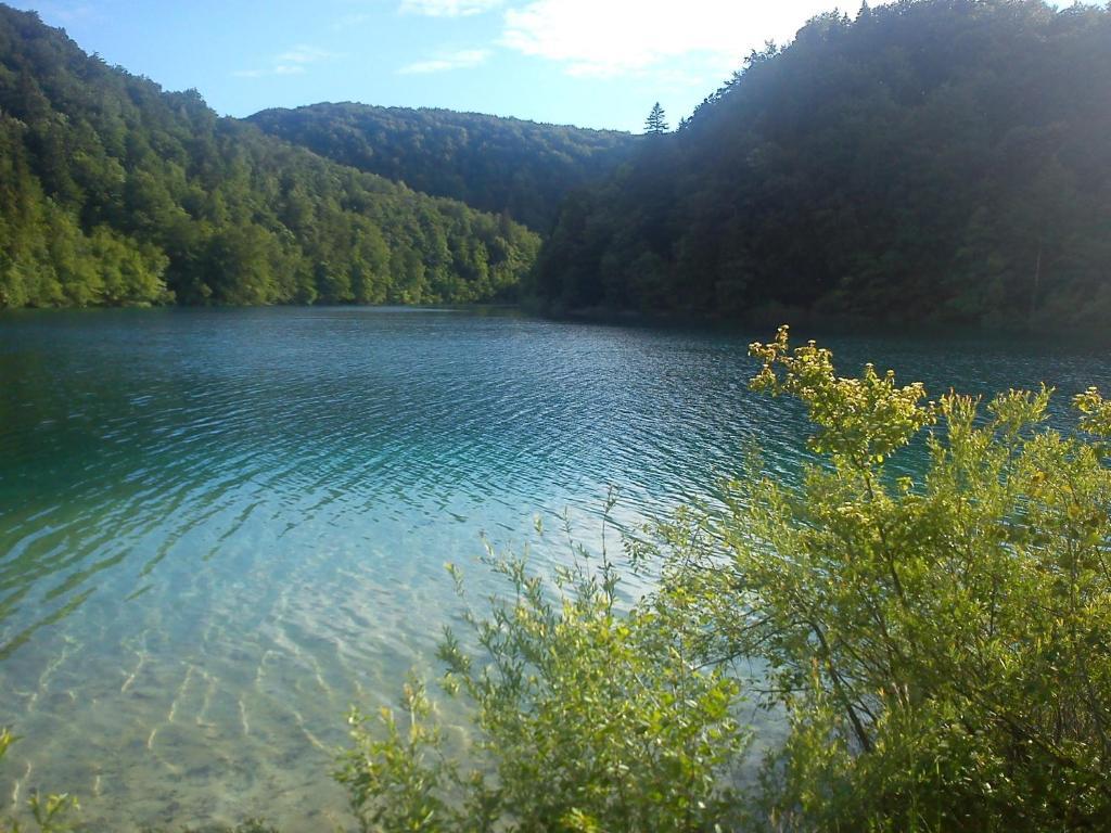 House Anamarija Otel Seliste Dreznicko Dış mekan fotoğraf